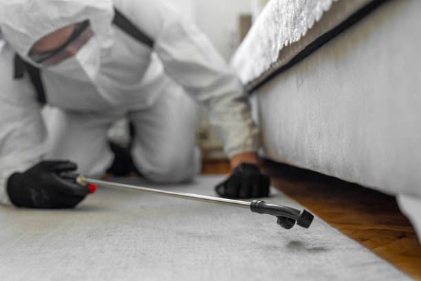 Professional Termite Control technician working in Medina, MN