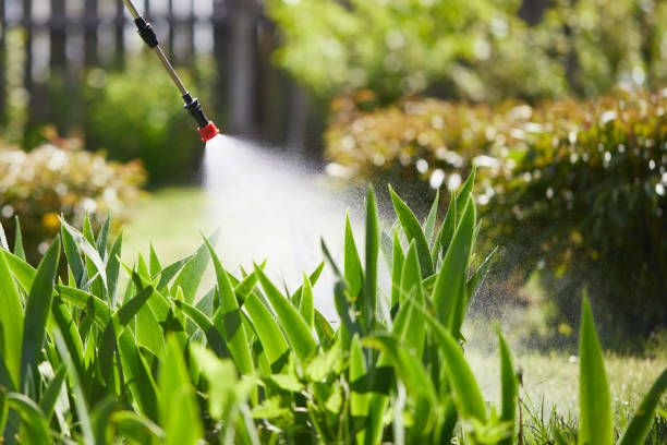 24/7 Emergency Termite Control experts in Medina, MN