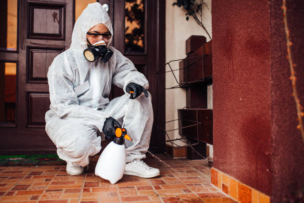 Reliable Termite Control contractor in Medina, MN by Nex Pest Control