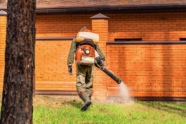 Top rated local Termite Control specialists in Medina, MN
